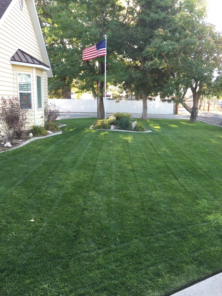 lawn care - Wells Cutting Edge Trimlight and Landscape